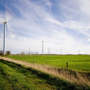 Floating Suction & Skimmers