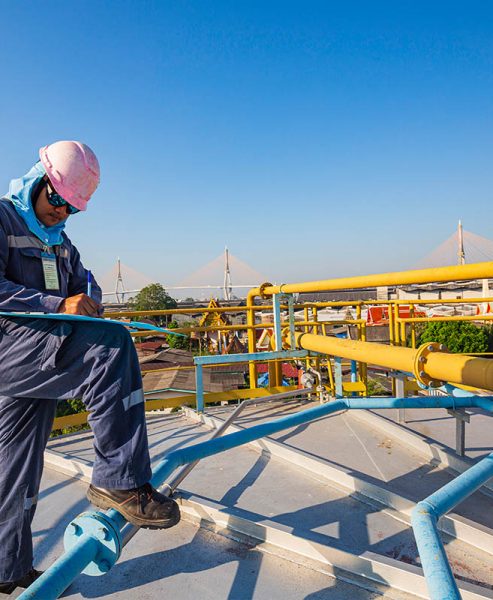 inspection-services-category