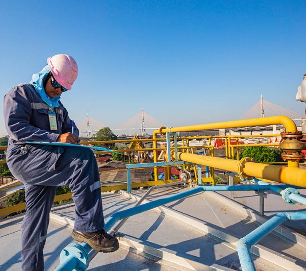 inspection-services-category